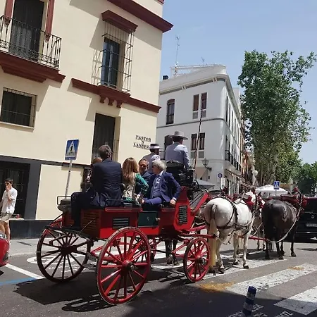 Atico C/ Adriano_catedral. Apartamento Sevilla